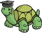 Turtle Academy 